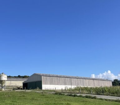 img 0401