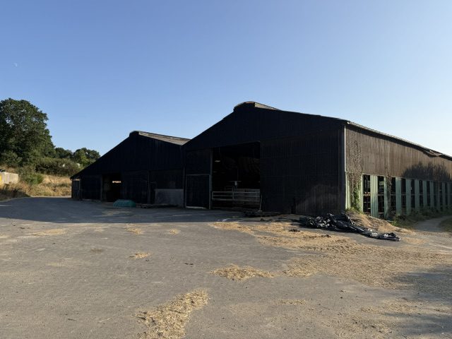img 3368